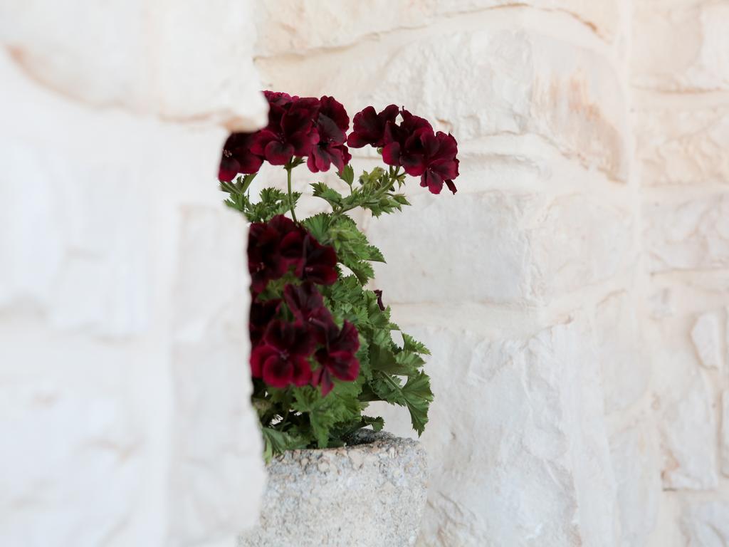 La Collina Degli Ulivi Διαμέρισμα Φαζάνο Εξωτερικό φωτογραφία