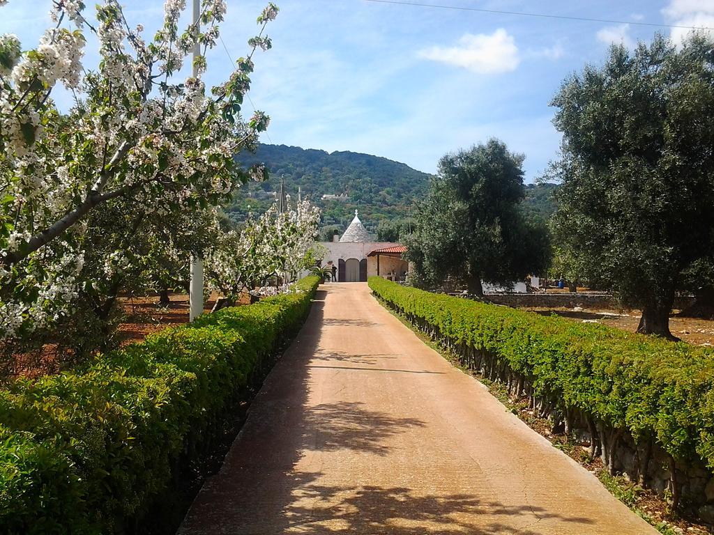La Collina Degli Ulivi Διαμέρισμα Φαζάνο Εξωτερικό φωτογραφία