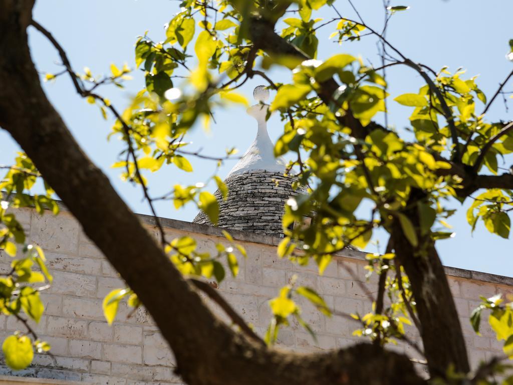 La Collina Degli Ulivi Διαμέρισμα Φαζάνο Εξωτερικό φωτογραφία