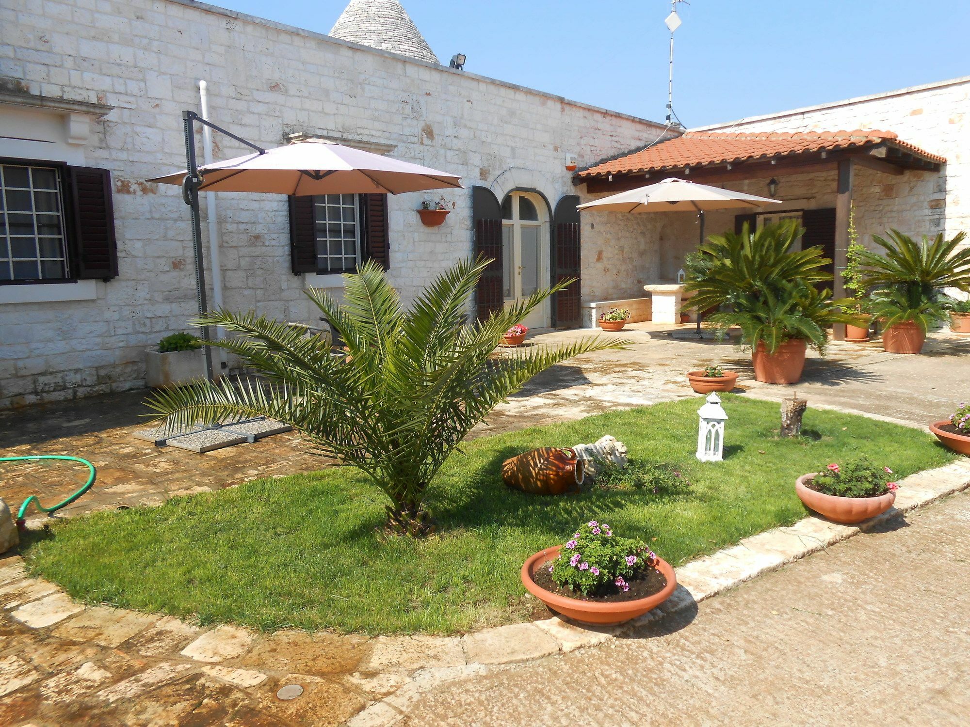 La Collina Degli Ulivi Διαμέρισμα Φαζάνο Εξωτερικό φωτογραφία